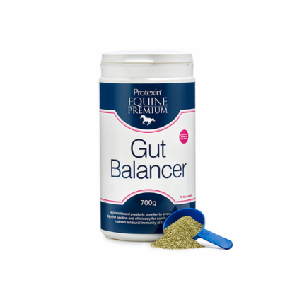 Gut_Balancer_White_Background_700.png&width=280&height=500