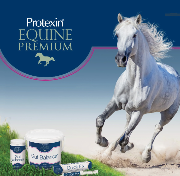 PROTEXIN Equine Premium