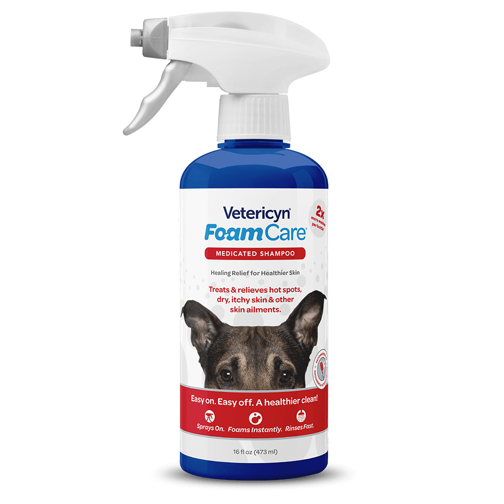 FoamCare-Medicated_pesuvaahto_ongelmaiholle.png&width=280&height=500