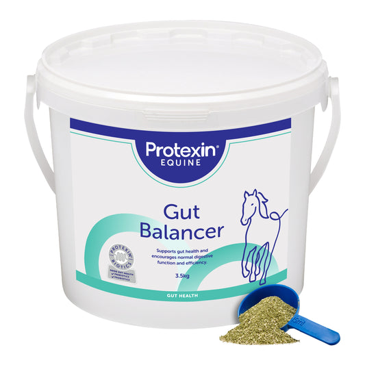Gut Balancer