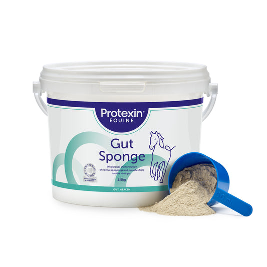 Gut Sponge 1,5 kg