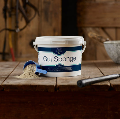 Gut Sponge 1,5 kg