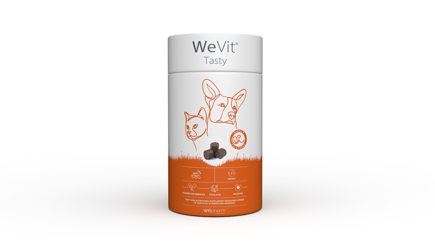 WeVit TASTY soft-chews 30 kpl