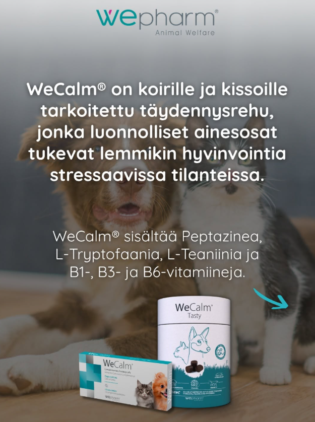 WeCalm Tasty soft-chews