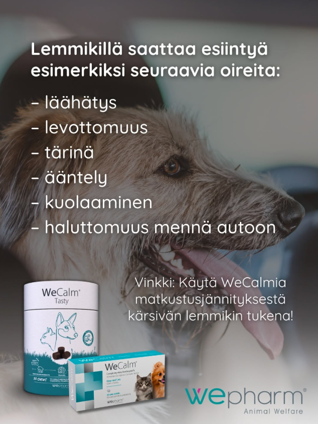 WeCalm Tasty soft-chews