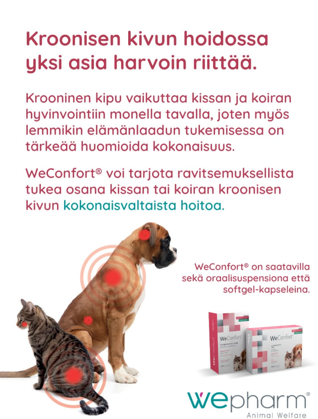 WeConfort 30 kapselia