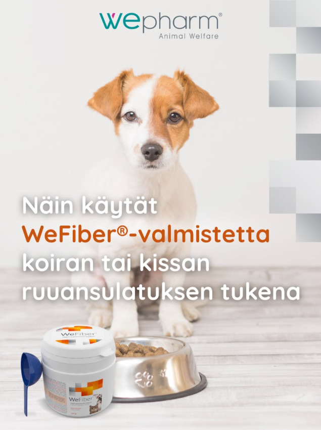 WeFiber jauhe 225 g