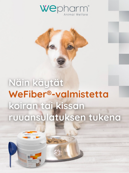 WeFiber jauhe 225 g