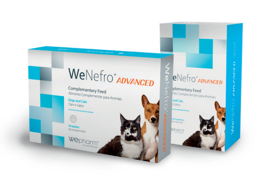 WeNefro ADVANCED